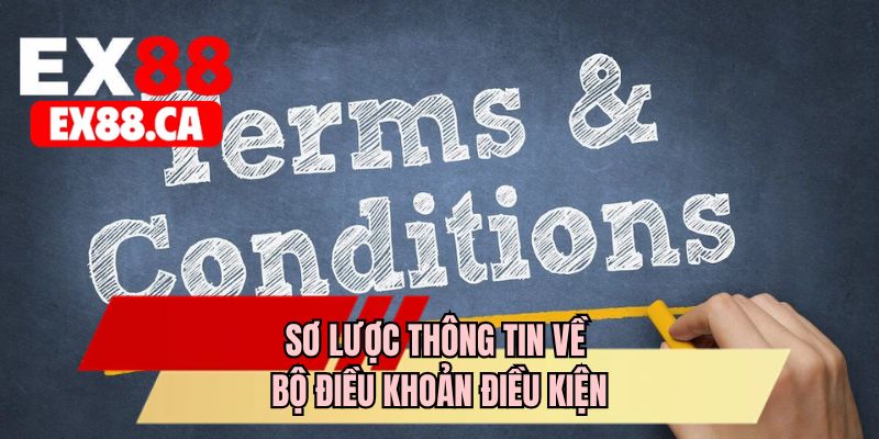 Sơ lược thông tin về bộ điều khoản điều kiện